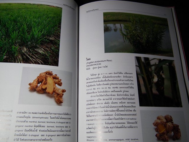 สมุนไพร สวนสิรีรุกขชาติ โดย คณะเภสัชฯ ม.มหิดล ปกแข็ง ปี 2539