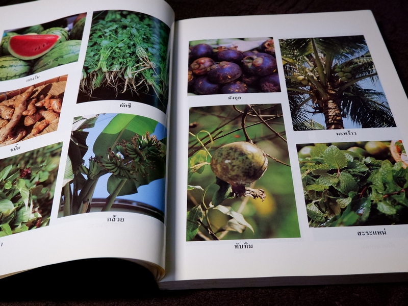 พืชเครื่องเทศ เเละ สมุนไพร โดย รุ่งรัตน์ เหลืองนทีเทพ