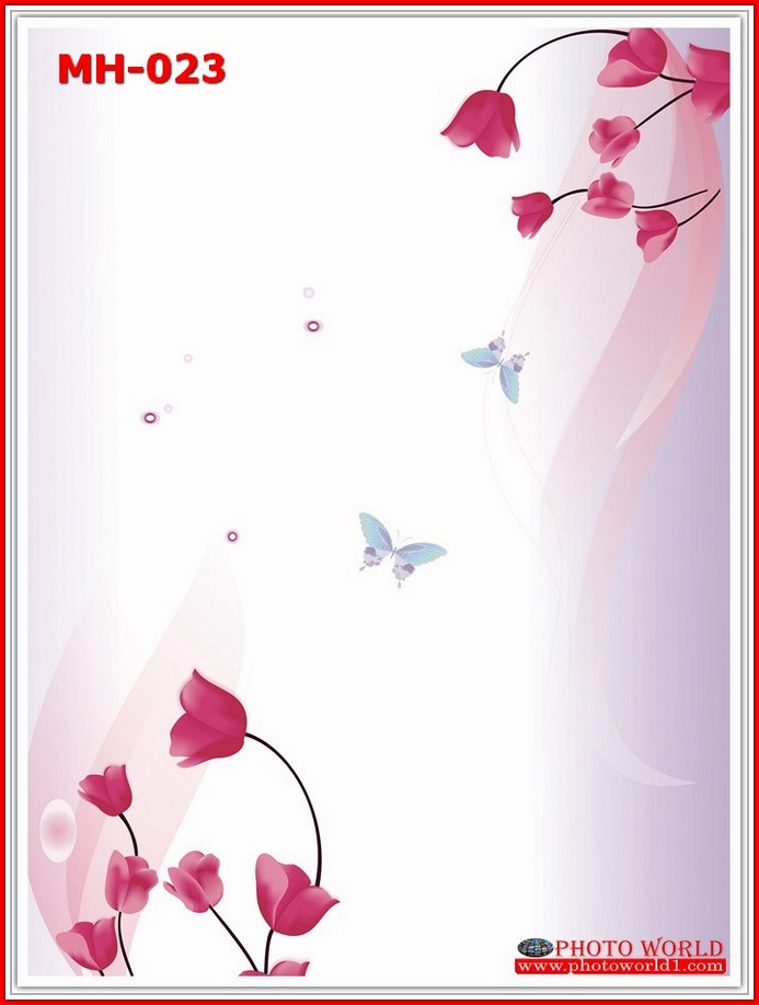 วอลเปเปอร์รูปภาพติดผนังสั่งทำ มีภาพให้เลือกกว่า 50,000 ภาพ ออกแบบกราฟฟิค หรือ รูปภาพตามที่ท่านกำหนด ในสไตล์ท่านเอง "custom made"