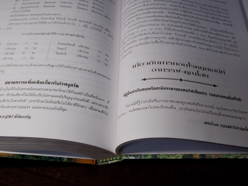 เพชรน้ำเอก กรุยอดตำรับยาสมุนไพร หลักการรักษาโรคตามแบบแผนพื้นบ้าน ครบทุกรูปแบบ ทุกแขนง