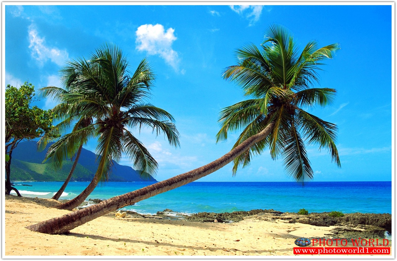 วอลเปเปอร์รูปภาพติดผนังสั่งทำ มีภาพให้เลือกกว่า 50,000 ภาพ ออกแบบกราฟฟิค หรือ รูปภาพตามที่ท่านกำหนด ในสไตล์ท่านเอง "custom made"