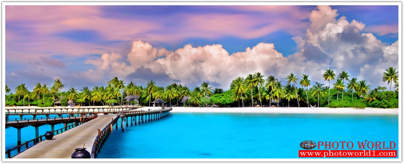 วอลเปเปอร์รูปภาพติดผนังสั่งทำ มีภาพให้เลือกกว่า 50,000 ภาพ ออกแบบกราฟฟิค หรือ รูปภาพตามที่ท่านกำหนด ในสไตล์ท่านเอง "custom made"