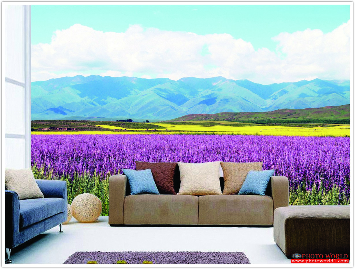 วอลเปเปอร์รูปภาพติดผนังสั่งทำ มีภาพให้เลือกกว่า 50,000 ภาพ ออกแบบกราฟฟิค หรือ รูปภาพตามที่ท่านกำหนด ในสไตล์ท่านเอง "custom made"