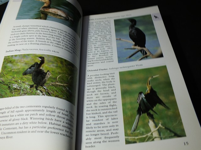 A Photographic Guide to BIRDS of Thailand by Michael Webster and Chew Yen Fook