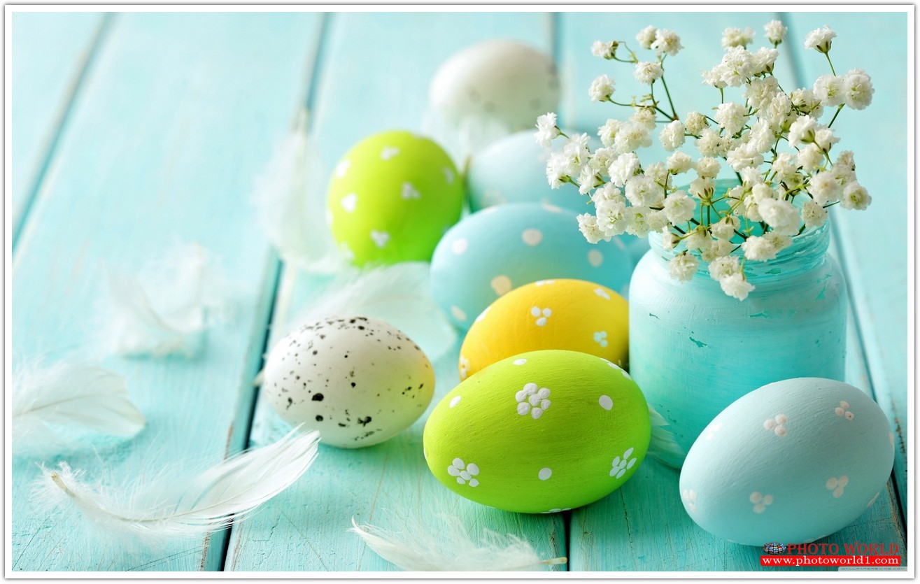 วอลเปเปอร์รูปภาพติดผนังสั่งทำ มีภาพให้เลือกกว่า 50,000 ภาพ ออกแบบกราฟฟิค หรือ รูปภาพตามที่ท่านกำหนด ในสไตล์ท่านเอง "custom made"