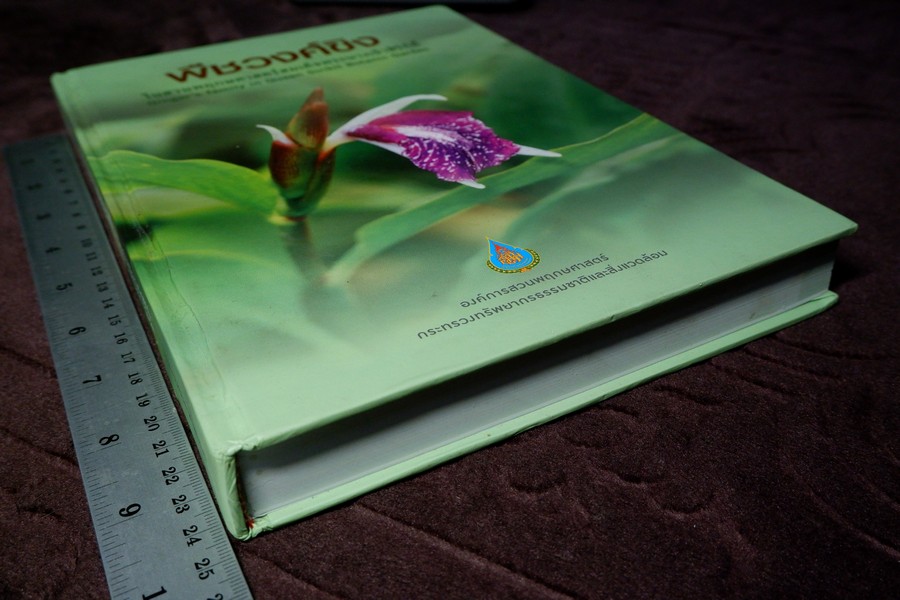 พืชวงศ์ขิง ในสวนพฤกษศาตร์สมเด็จพระนางเจ้าสิริกิติ์ ปกเเข็ง 436 หน้า