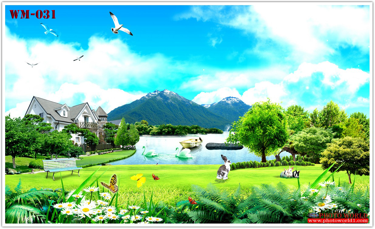 วอลเปเปอร์รูปภาพติดผนังสั่งทำ มีภาพให้เลือกกว่า 50,000 ภาพ ออกแบบกราฟฟิค หรือ รูปภาพตามที่ท่านกำหนด ในสไตล์ท่านเอง "custom made"