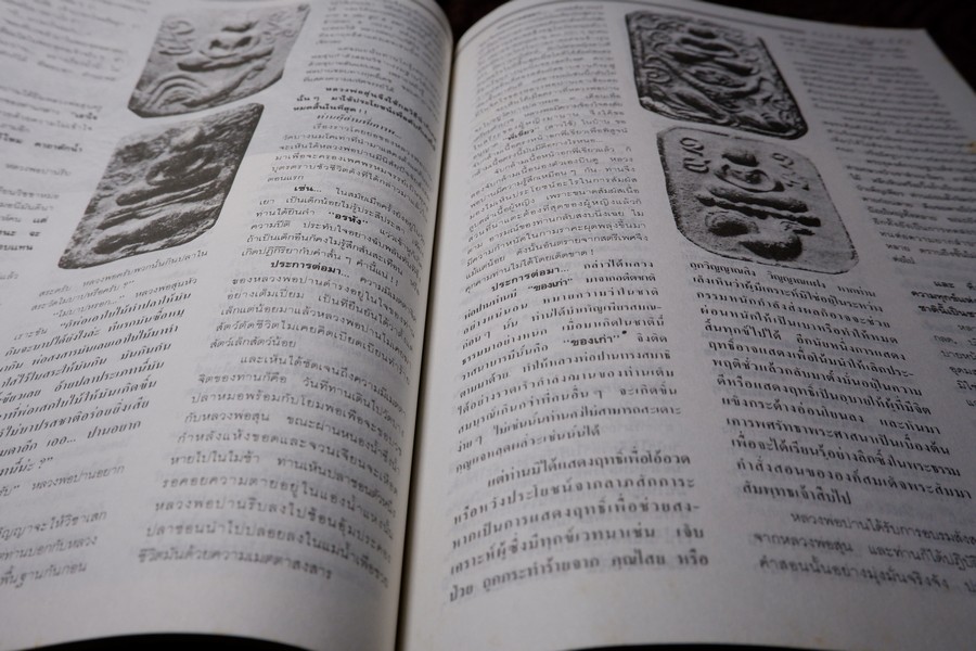 9 พระอาจารย์เสือ โดย สุริยัน ศักดิ์ไธสง (สุดยอด เครื่องรางของขลังขมังเวทย์ 9 เกจิอาจารย์ดัง)