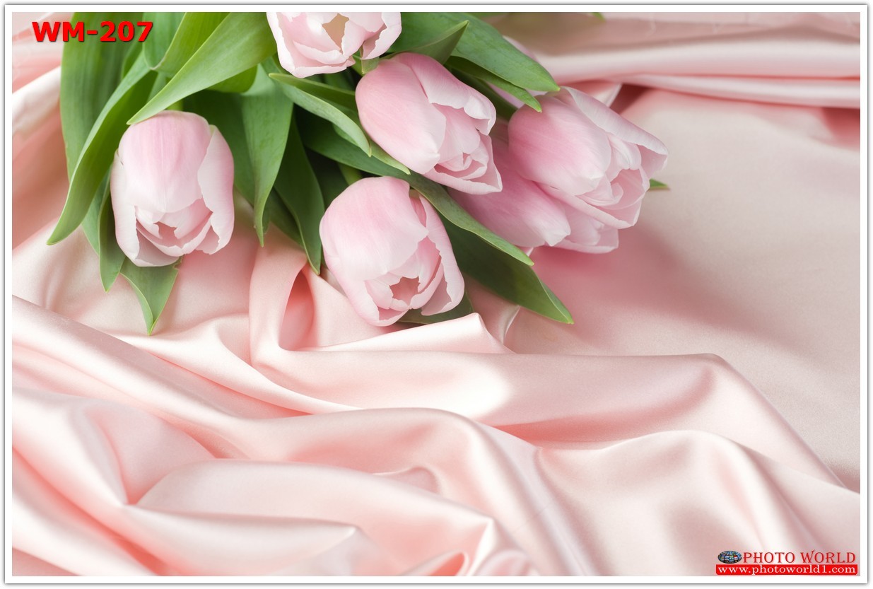 วอลเปเปอร์รูปภาพติดผนังสั่งทำ มีภาพให้เลือกกว่า 50,000 ภาพ ออกแบบกราฟฟิค หรือ รูปภาพตามที่ท่านกำหนด ในสไตล์ท่านเอง "custom made"