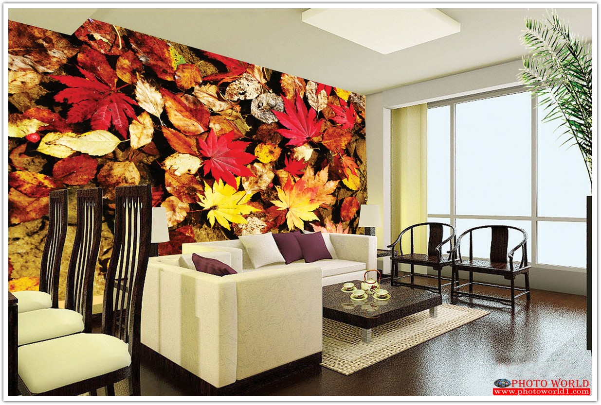 วอลเปเปอร์รูปภาพติดผนังสั่งทำ มีภาพให้เลือกกว่า 50,000 ภาพ ออกแบบกราฟฟิค หรือ รูปภาพตามที่ท่านกำหนด ในสไตล์ท่านเอง "custom made"