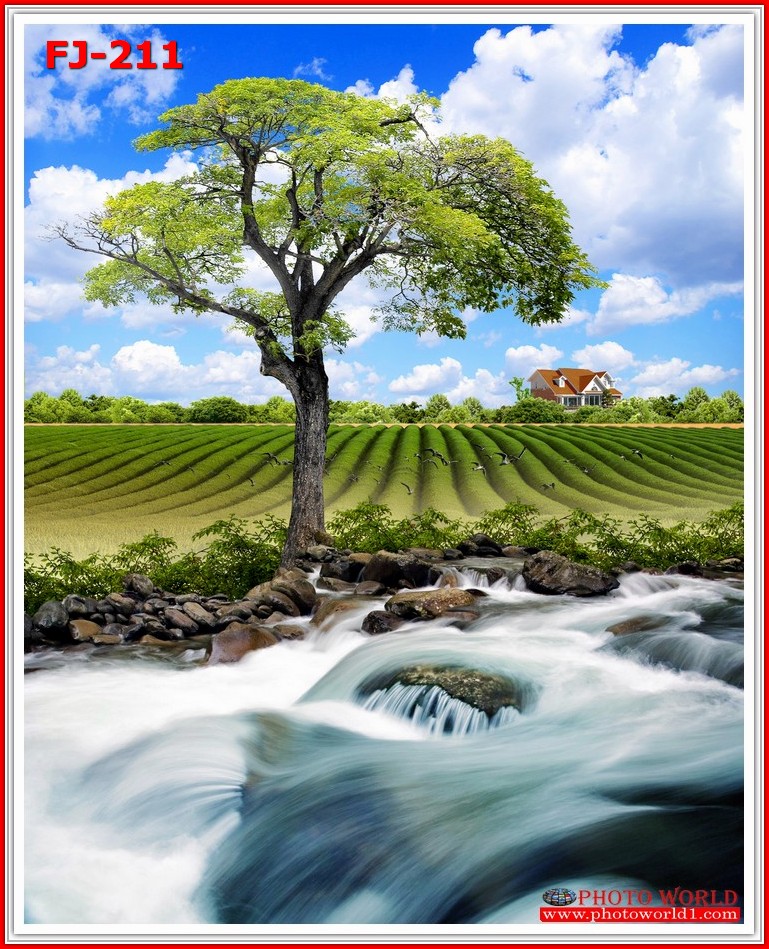 วอลเปเปอร์รูปภาพติดผนังสั่งทำ มีภาพให้เลือกกว่า 50,000 ภาพ ออกแบบกราฟฟิค หรือ รูปภาพตามที่ท่านกำหนด ในสไตล์ท่านเอง "custom made"