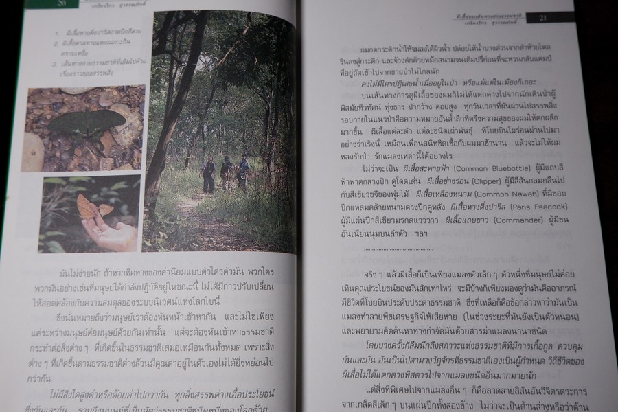 ผีเสื้อ บนเส้นทางสายธรรมชาติ โดย เกรียงไกร สุวรรณภักดิ์