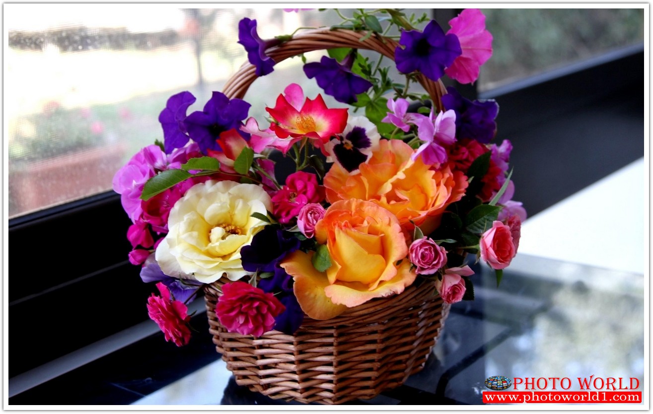 วอลเปเปอร์รูปภาพติดผนังสั่งทำ มีภาพให้เลือกกว่า 50,000 ภาพ ออกแบบกราฟฟิค หรือ รูปภาพตามที่ท่านกำหนด ในสไตล์ท่านเอง "custom made"