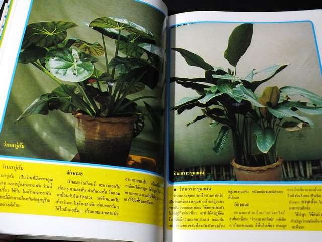 สารานุกรมว่านไทย ฉบับสมบูรณ์ โดย ทัศนา ทัศนมิตร-ดำรงศักดิ์ นาคนิยม (สอบถาม)