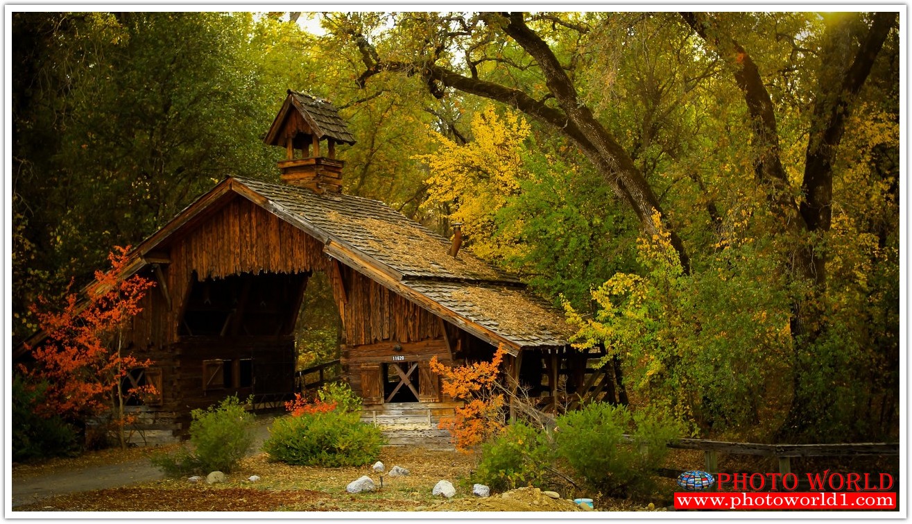 NATURAL วอลเปเปอร์รูปภาพติดผนังสั่งทำ มีภาพให้เลือกกว่า 50,000 ภาพ ออกแบบกราฟฟิค หรือ รูปภาพตามที่ท่านกำหนด ในสไตล์ท่านเอง "custom made"