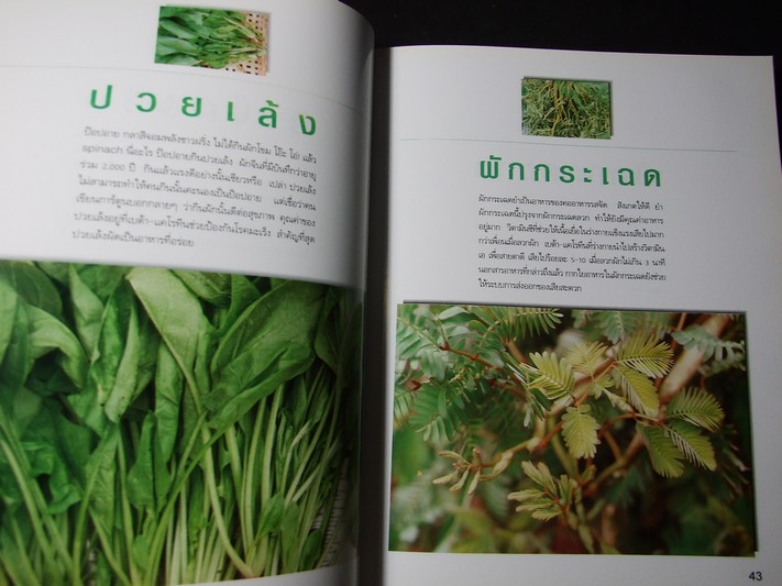 มหัศจรรย์ผัก 108 โดย มูลนิธิโตโยต้า และมหาวิทยาลัยมหิดล พิมพ์ครั้งที่ 8 ปี 2545 หนา 422 หน้า