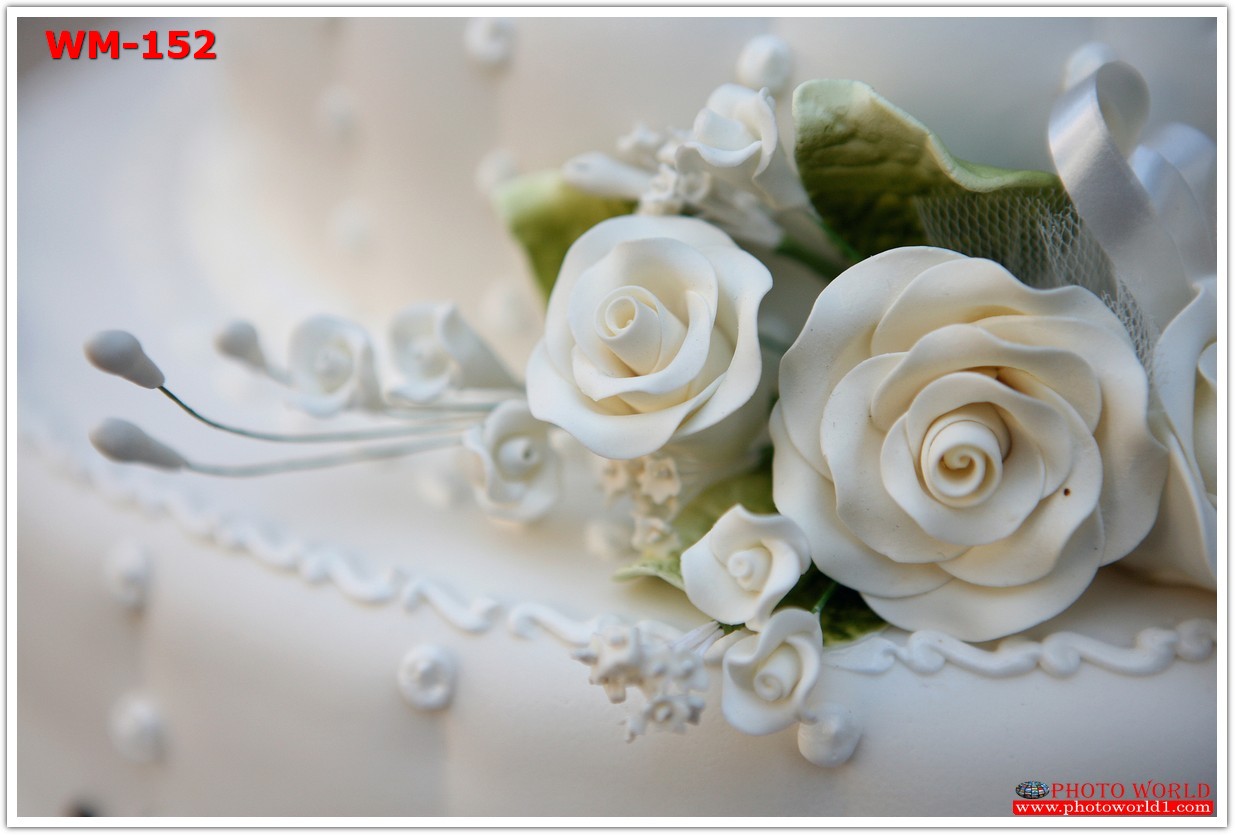 วอลเปเปอร์รูปภาพติดผนังสั่งทำ มีภาพให้เลือกกว่า 50,000 ภาพ ออกแบบกราฟฟิค หรือ รูปภาพตามที่ท่านกำหนด ในสไตล์ท่านเอง "custom made"