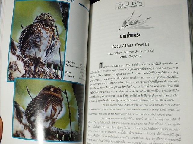 ชีวิตนก bird Life จากบันทึก เเละความทรงจำ โดย สุธี ศุภรัฐวิกร เล่ม 1,2,3 รวม 3 เล่ม ปี 2539-40