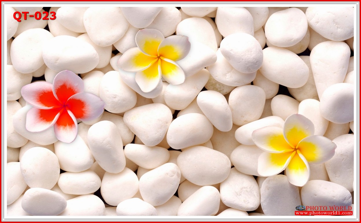 วอลเปเปอร์รูปภาพติดผนังสั่งทำ มีภาพให้เลือกกว่า 50,000 ภาพ ออกแบบกราฟฟิค หรือ รูปภาพตามที่ท่านกำหนด ในสไตล์ท่านเอง "custom made"