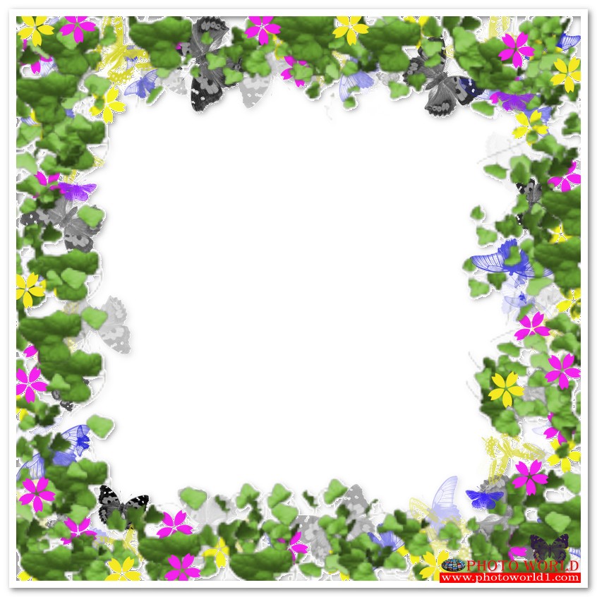 กรอบดอกไม้(FLOWER) สั่งทำวอลเปเปอร์ รูปภาพติดผนัง มีภาพให้เลือกกว่า 50,000 ภาพ ออกแบบกราฟฟิค หรือ รูปภาพตามที่ท่านกำหนด ในสไตล์ท่านเอง "custom made"