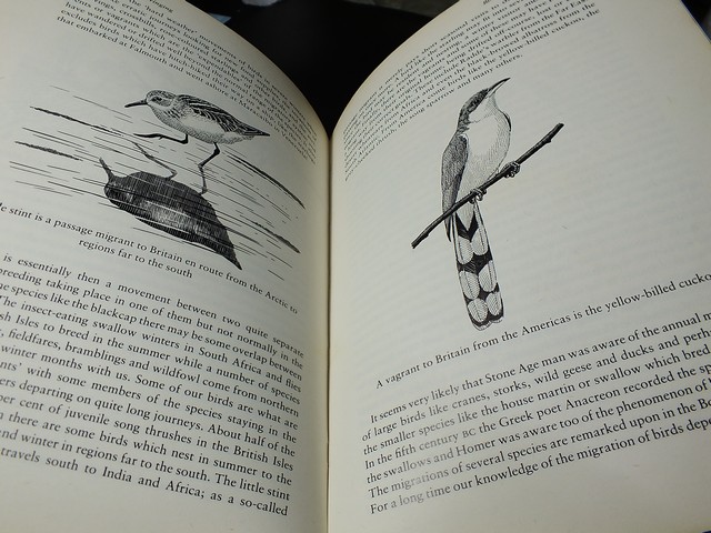 A Natural History of British Birds by Eric Simms . hardcopy 396 pages .copyright 1983