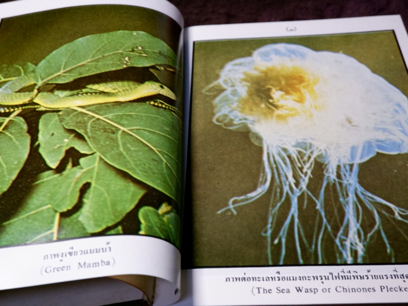 หลักการใช้ยาสมุนไพรรักษาโรคต่างๆ โดย พ.ต.อ.ชลอ อุทกภาชน์ เล่ม 1 เเละ 2 (Pre-Order สอบถาม)