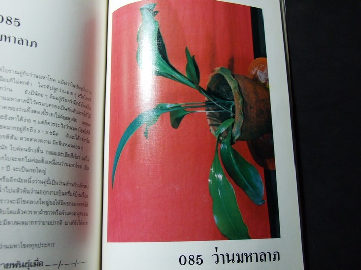 คัมภีร์ว่าน และไม้มงคล โดย สนั่น ทวีสมบัติ ปกแข็ง 212 หน้า พิมพ์ปี 2524