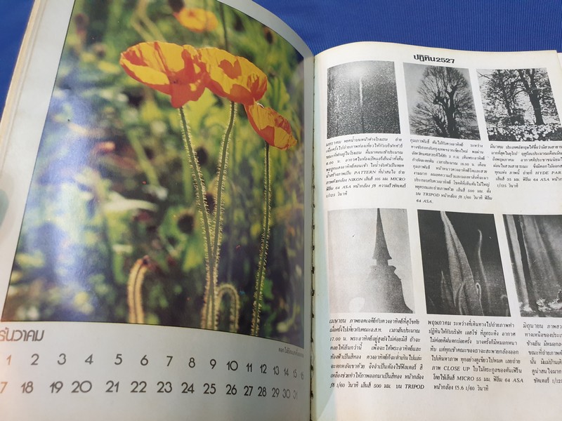 เปิดกล้องส่องโลก เเนะเเนวการถ่ายภาพ ปี 2527