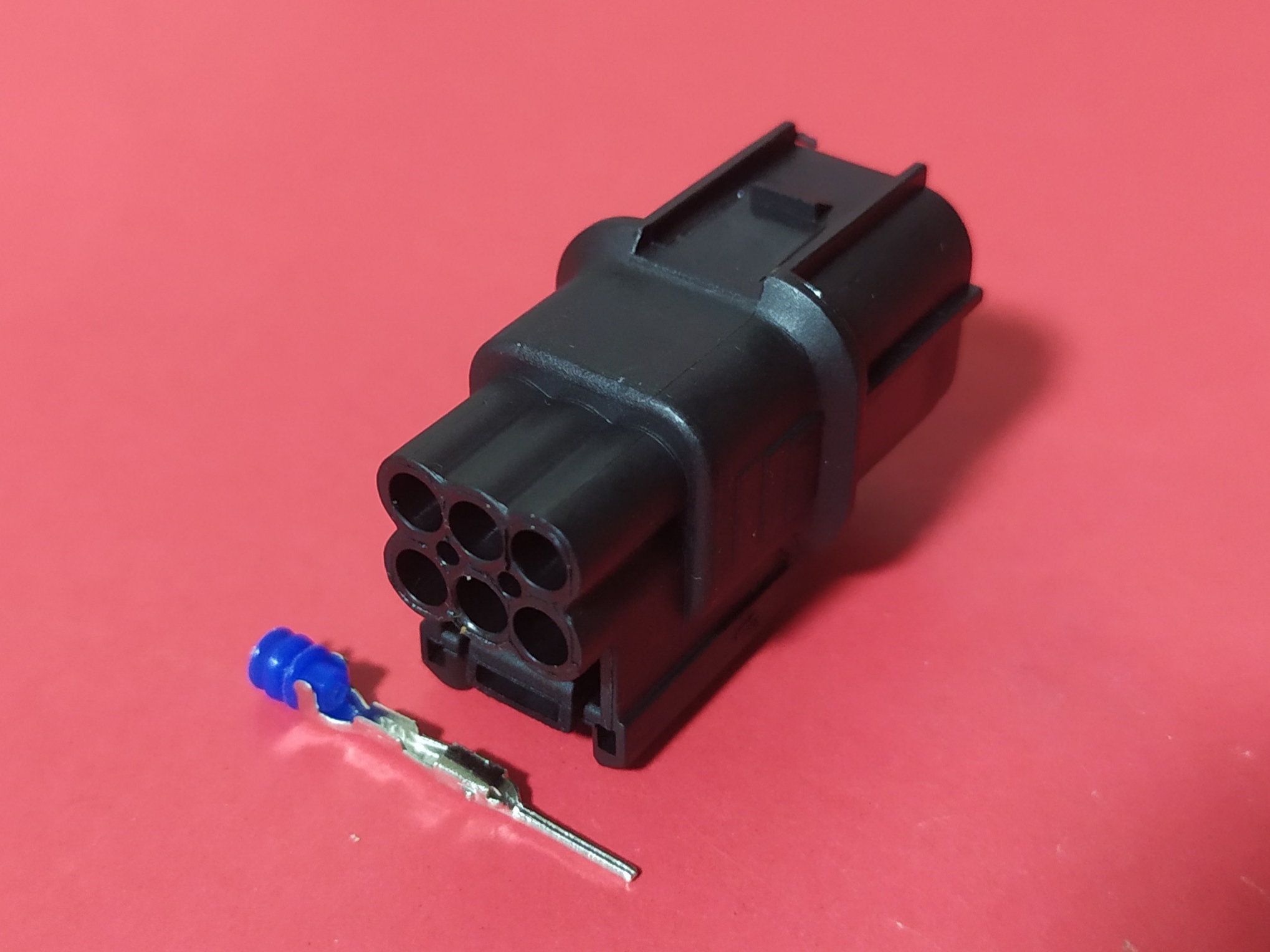 6 พิน ดำ บ่าบน ตัวผู้ #4908