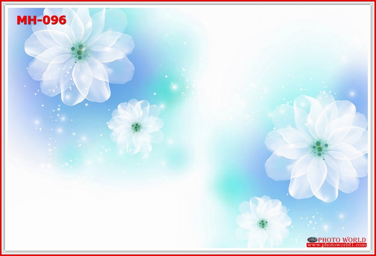 วอลเปเปอร์รูปภาพติดผนังสั่งทำ มีภาพให้เลือกกว่า 50,000 ภาพ ออกแบบกราฟฟิค หรือ รูปภาพตามที่ท่านกำหนด ในสไตล์ท่านเอง "custom made"