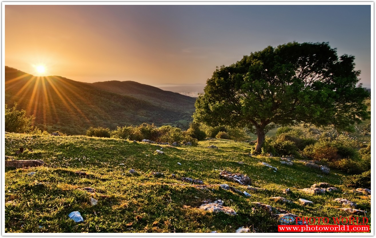 NATURAL วอลเปเปอร์รูปภาพติดผนังสั่งทำ มีภาพให้เลือกกว่า 50,000 ภาพ ออกแบบกราฟฟิค หรือ รูปภาพตามที่ท่านกำหนด ในสไตล์ท่านเอง "custom made"