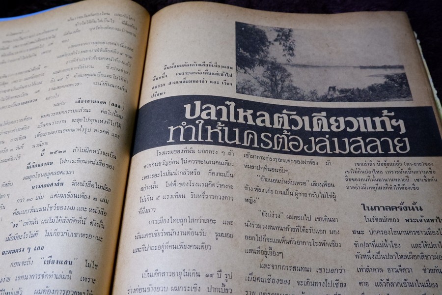 เชียงเเสน โดย ภราดร รัตนกุล ปี 2523