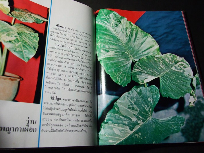 108 ว่านมหัศจรรย์ โดย เชษฐา ปกแข็ง 3 เล่ม (Pre-Order สอบถาม)