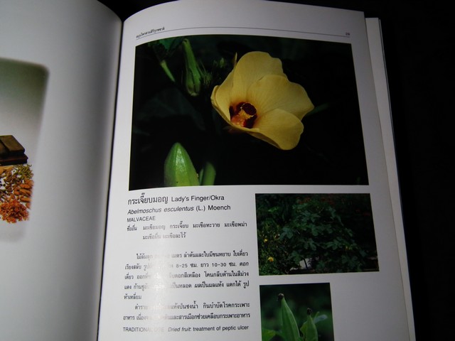 สมุนไพร สวนสิรีรุกขชาติ โดย คณะเภสัชฯ ม.มหิดล ปกแข็ง ปี 2539