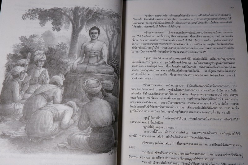 พระอานนท์ พุทธอนุชา โดย วศิน อินทสระ ปี 2532