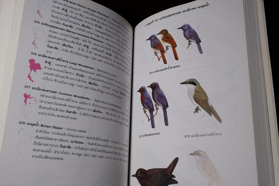 คู่มือดูนก หมอบุญส่ง เลขะกุล นกเมืองไทย (ฉบับ 100 ปี หมอบุญส่ง เลขะกุล) ปี 2550