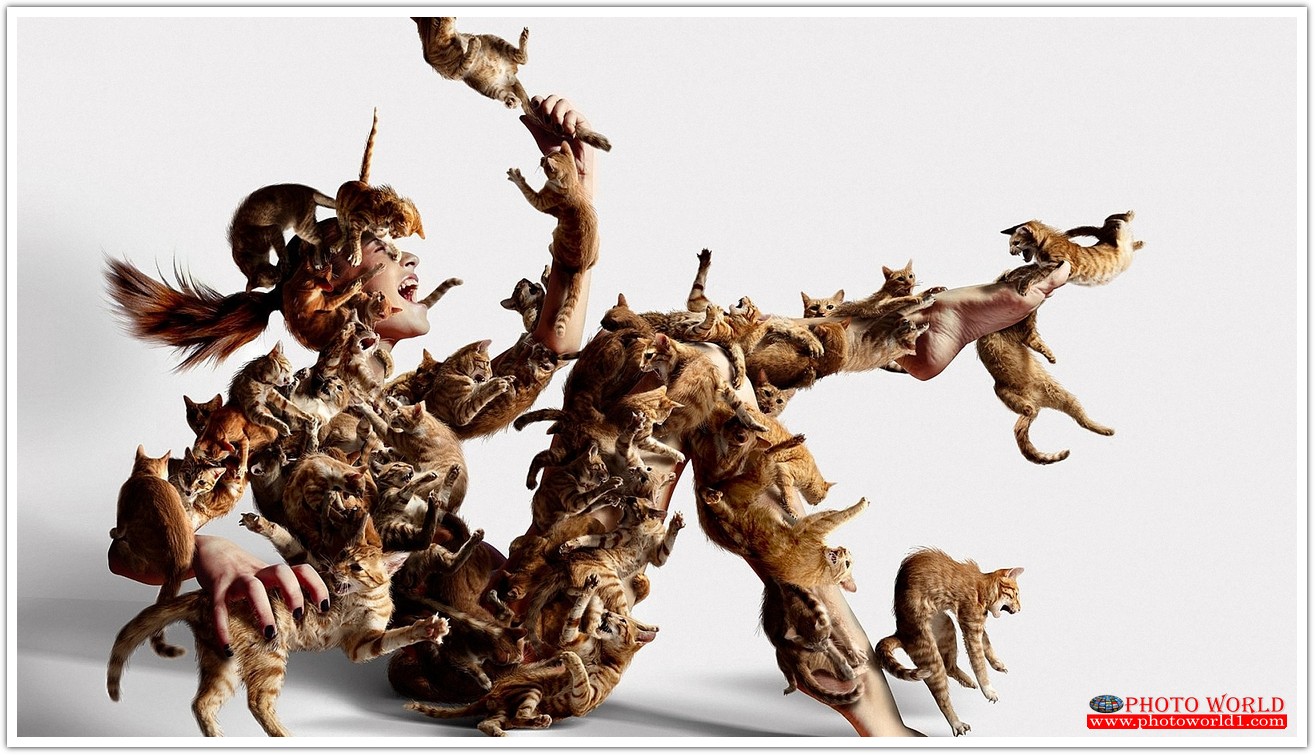 วอลเปเปอร์รูปภาพติดผนังสั่งทำ มีภาพให้เลือกกว่า 50,000 ภาพ ออกแบบกราฟฟิค หรือ รูปภาพตามที่ท่านกำหนด ในสไตล์ท่านเอง "custom made"