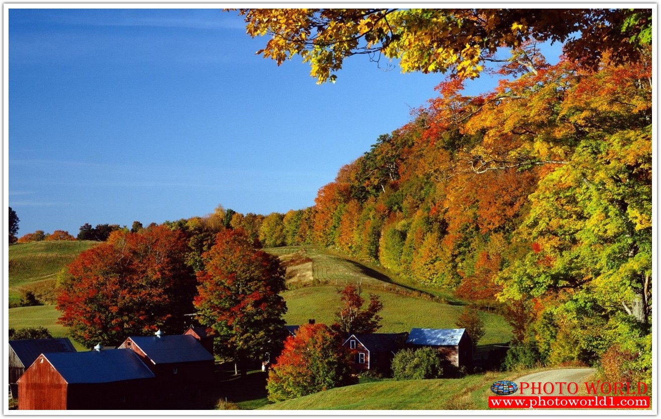 NATURAL วอลเปเปอร์รูปภาพติดผนังสั่งทำ มีภาพให้เลือกกว่า 50,000 ภาพ ออกแบบกราฟฟิค หรือ รูปภาพตามที่ท่านกำหนด ในสไตล์ท่านเอง "custom made"