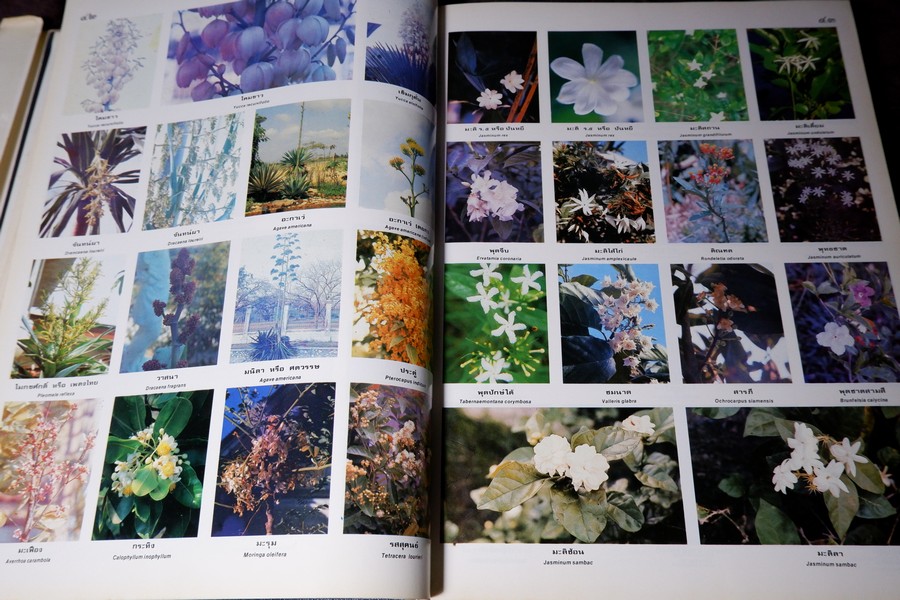 ดอกไม้เเละประวัติไม้ดอกเมืองไทย โดย วิชัย อภัยสุวรรณ ปกแข็ง ปี 2532
