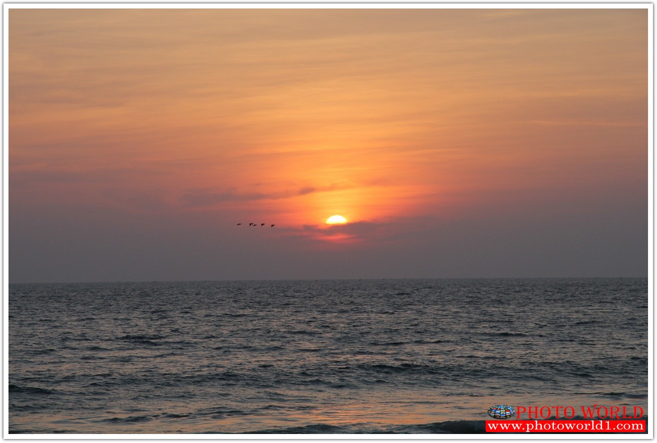 NATURAL วอลเปเปอร์รูปภาพติดผนังสั่งทำ มีภาพให้เลือกกว่า 50,000 ภาพ ออกแบบกราฟฟิค หรือ รูปภาพตามที่ท่านกำหนด ในสไตล์ท่านเอง "custom made"