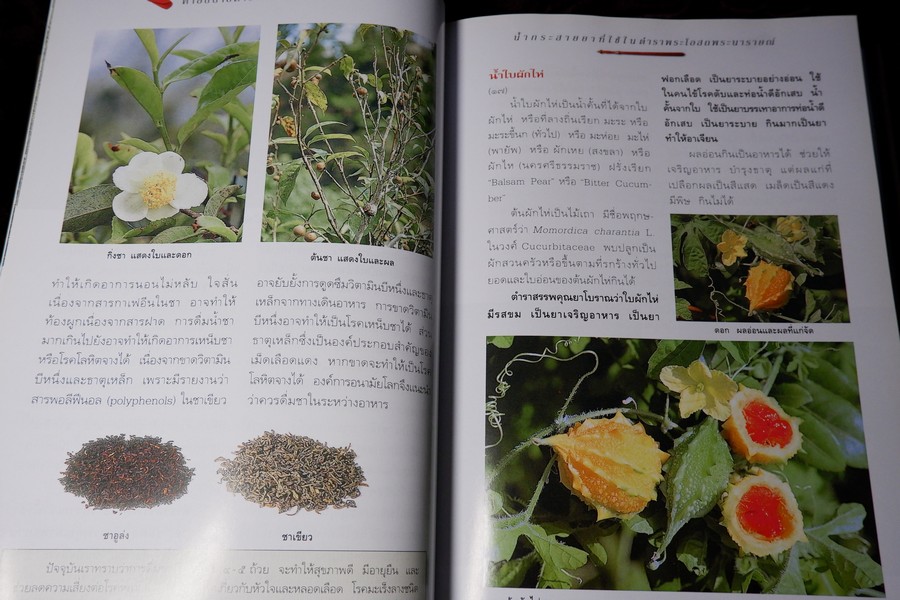 คำอธิบาย ตำราพระโอสถพระนารายณ์ ฉบับเฉลิมพระเกียรติ 72 พรรษามหาราชา พิมพ์เเรก ปี 2544 (pre-order สอบถาม)