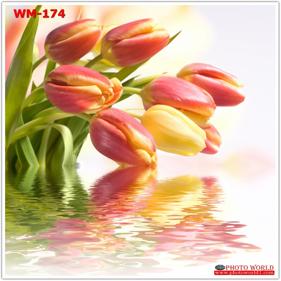 วอลเปเปอร์รูปภาพติดผนังสั่งทำ มีภาพให้เลือกกว่า 50,000 ภาพ ออกแบบกราฟฟิค หรือ รูปภาพตามที่ท่านกำหนด ในสไตล์ท่านเอง "custom made"