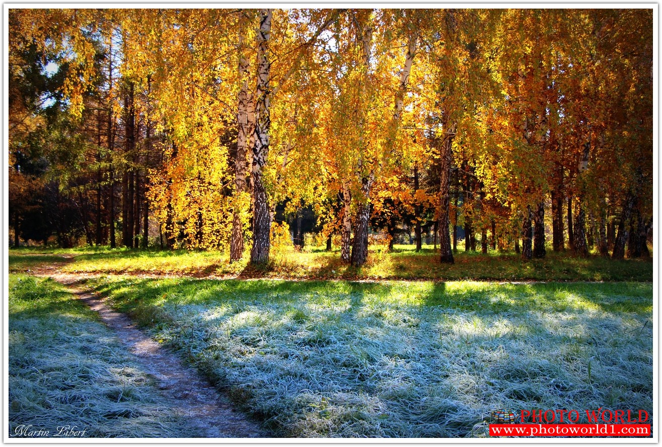 NATURAL วอลเปเปอร์รูปภาพติดผนังสั่งทำ มีภาพให้เลือกกว่า 50,000 ภาพ ออกแบบกราฟฟิค หรือ รูปภาพตามที่ท่านกำหนด ในสไตล์ท่านเอง "custom made"