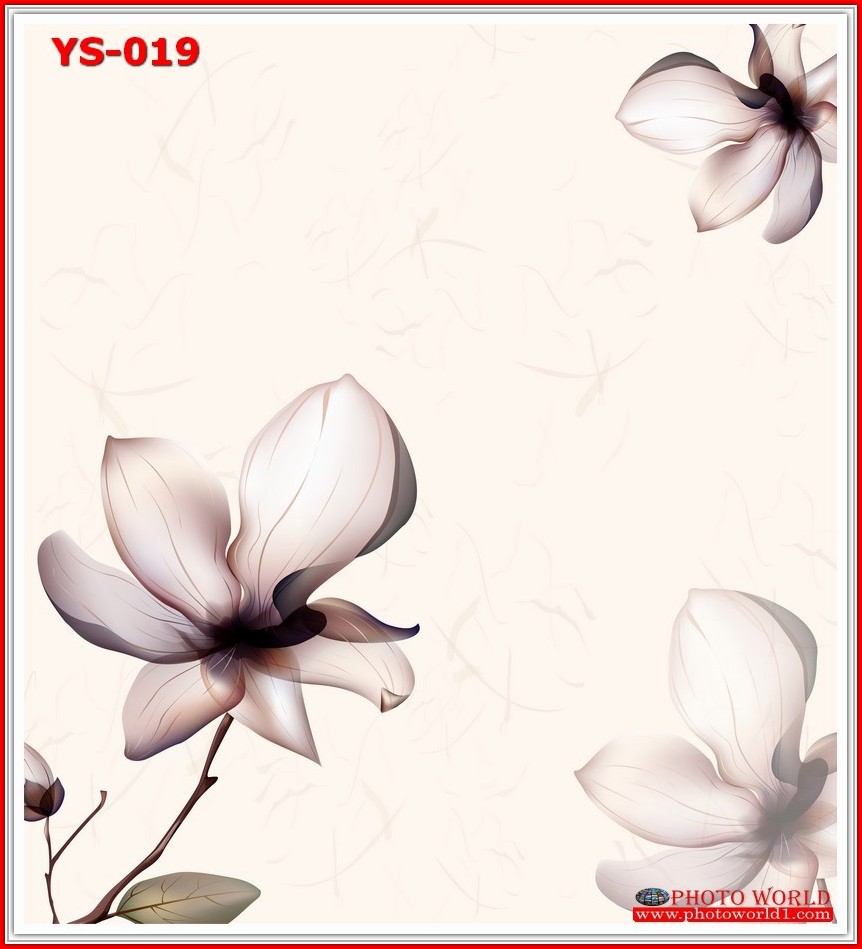 วอลเปเปอร์รูปภาพติดผนังสั่งทำ มีภาพให้เลือกกว่า 50,000 ภาพ ออกแบบกราฟฟิค หรือ รูปภาพตามที่ท่านกำหนด ในสไตล์ท่านเอง "custom made"