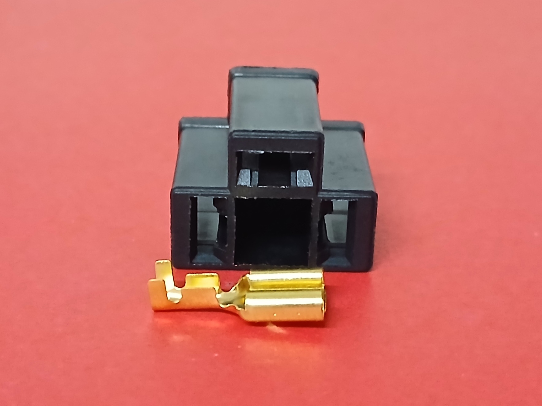 H4 ตัวเมีย