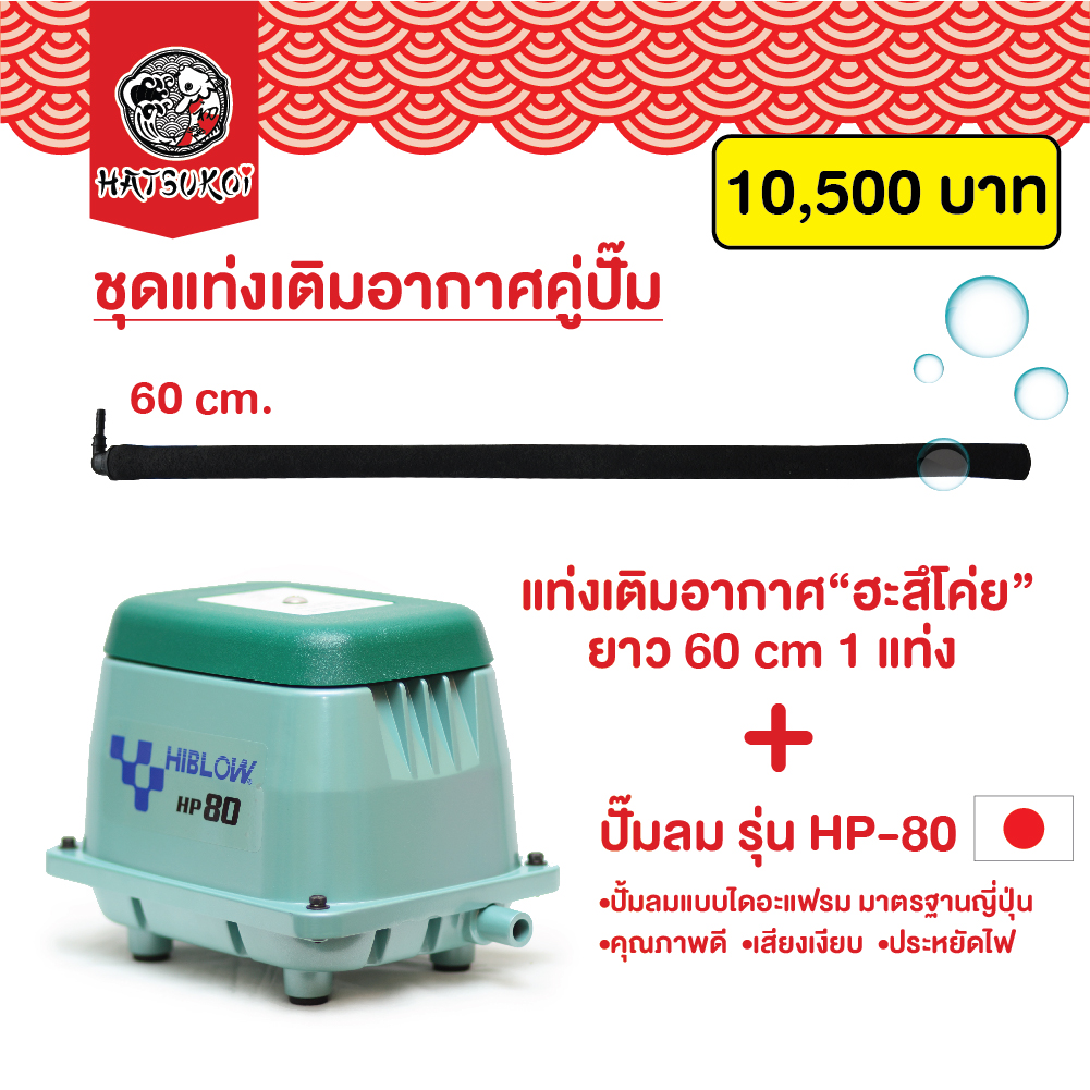 ชุดเติมอากาศพร้อมใช้ แท่งเติมอากาศ ฮะสึโค่ย กับ ปั๊มลม HIBLOW รุ่น HP-80
