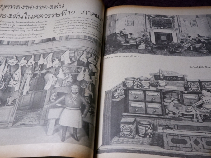 ของเล่นของโลก โดย ปรานี วงษ์เทศ ปี 2528