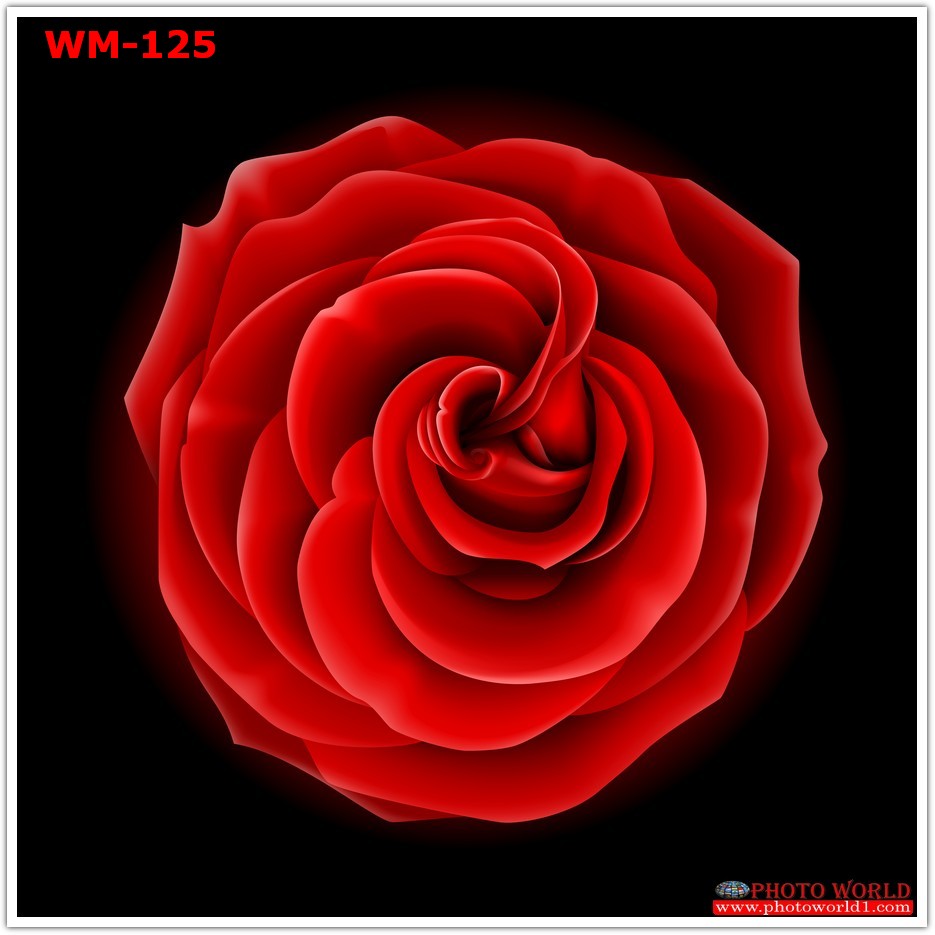 วอลเปเปอร์รูปภาพติดผนังสั่งทำ มีภาพให้เลือกกว่า 50,000 ภาพ ออกแบบกราฟฟิค หรือ รูปภาพตามที่ท่านกำหนด ในสไตล์ท่านเอง "custom made"