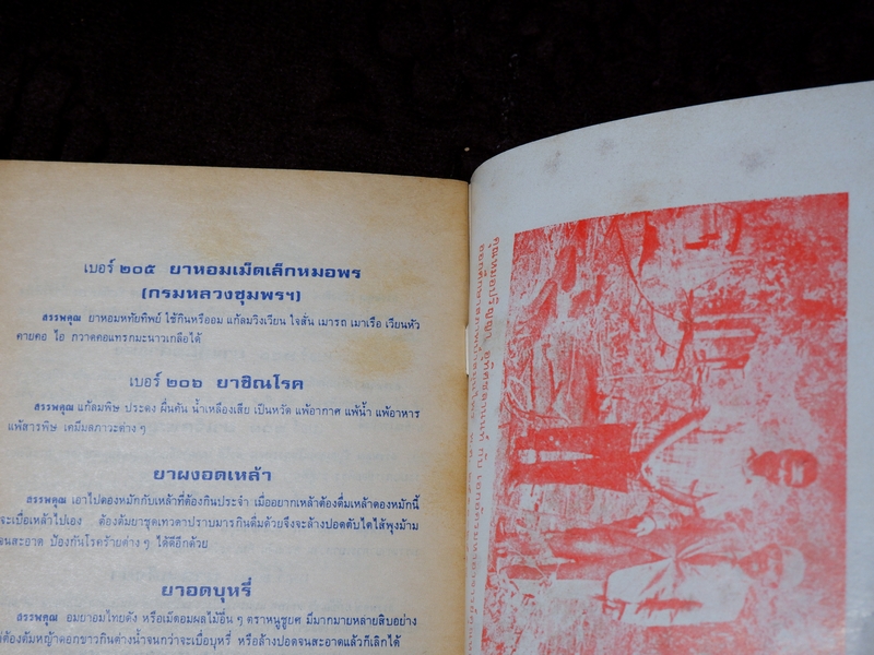 คู่มือประกอบการใช้ยา ของหมอปริญญา อุทิศชลานนท์ และคณะ (เล่มเล็ก)