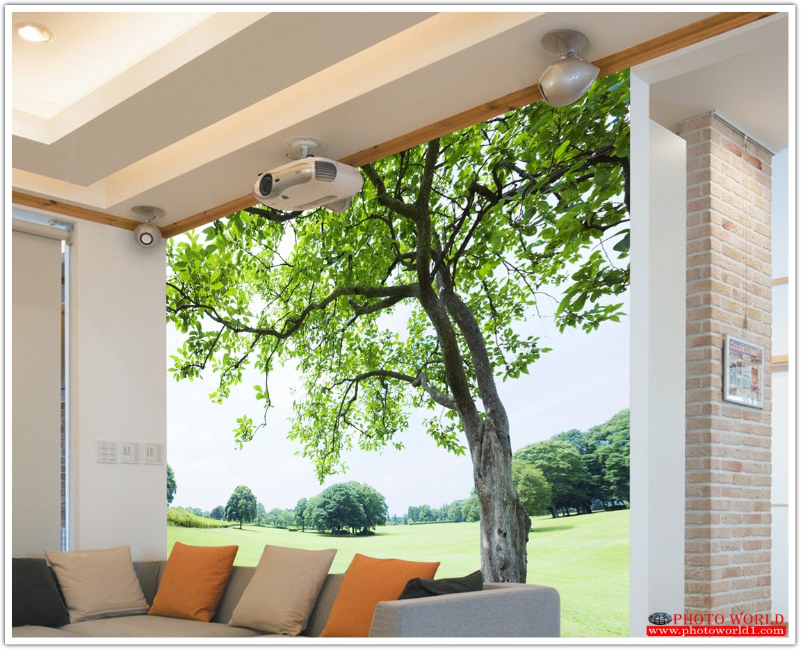 วอลเปเปอร์รูปภาพติดผนังสั่งทำ มีภาพให้เลือกกว่า 50,000 ภาพ ออกแบบกราฟฟิค หรือ รูปภาพตามที่ท่านกำหนด ในสไตล์ท่านเอง "custom made"